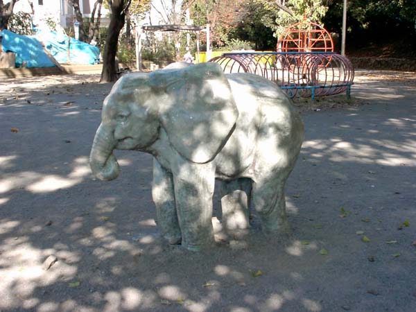 parkanimal015